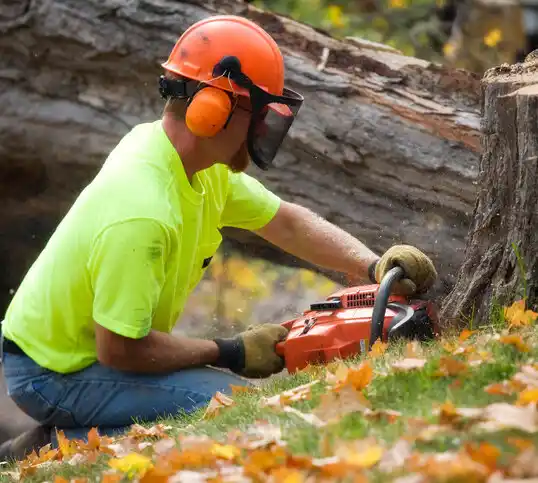 tree services Vandalia